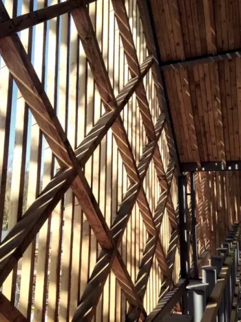 Bedales School